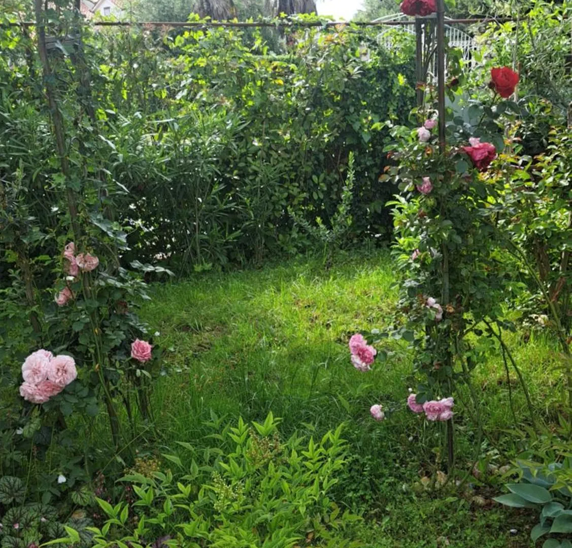 Apartamento Apartmani Donna Poreč