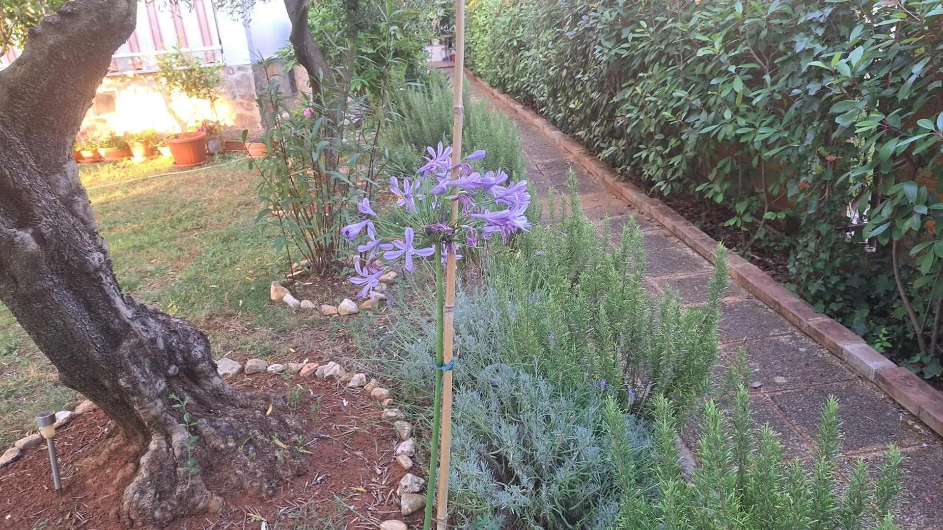Apartamento Apartmani Donna Poreč Croácia